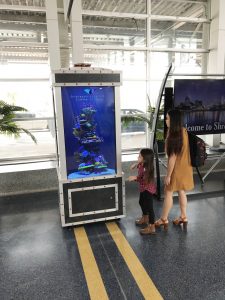 DMII grads create virtual tank for Shreveport Aquarium on display at Regional Airport